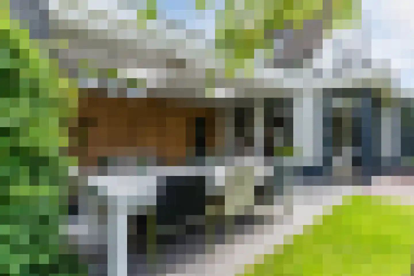 Lupine 1 Eersel thumbnail 49