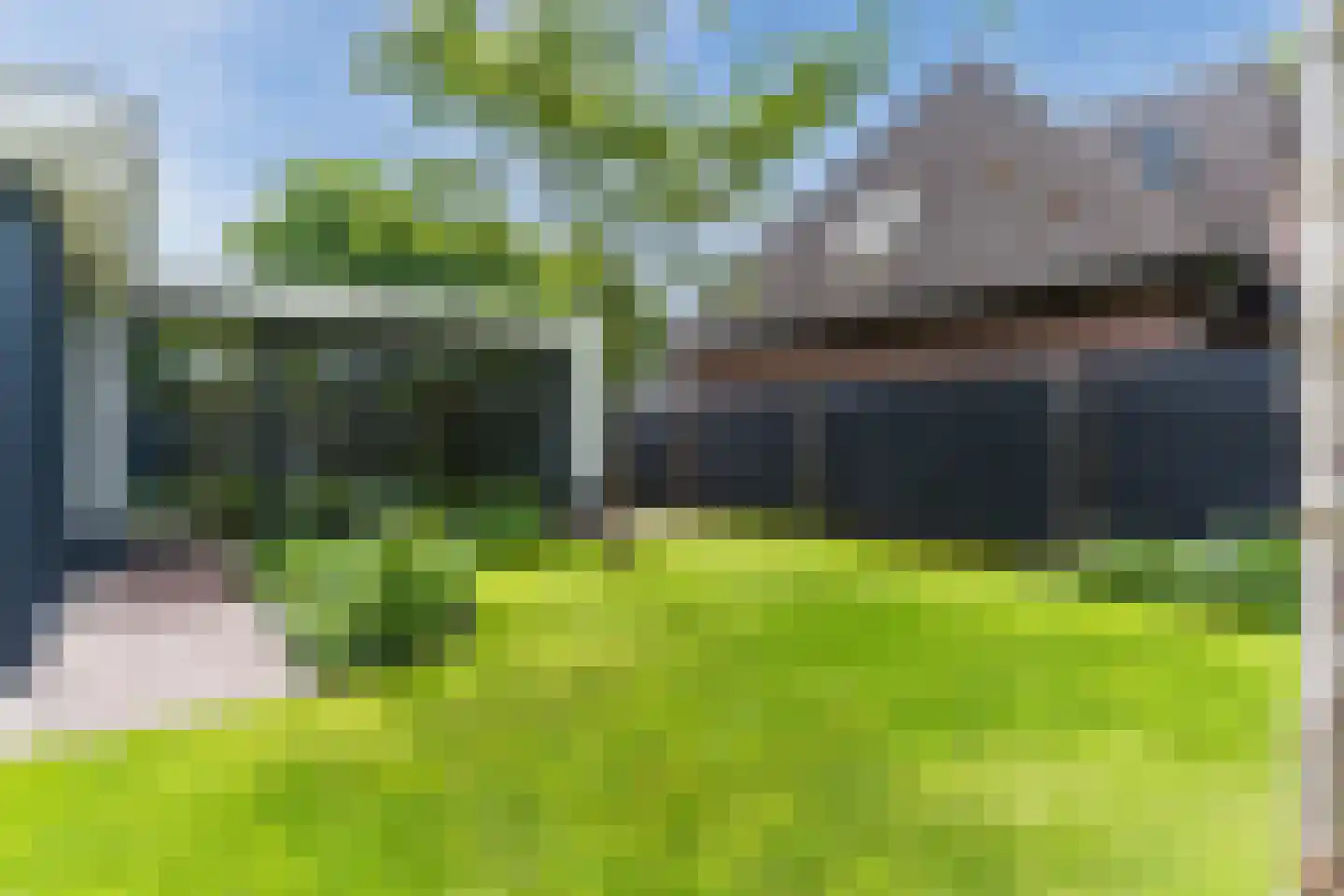 Lupine 1 Eersel thumbnail 50