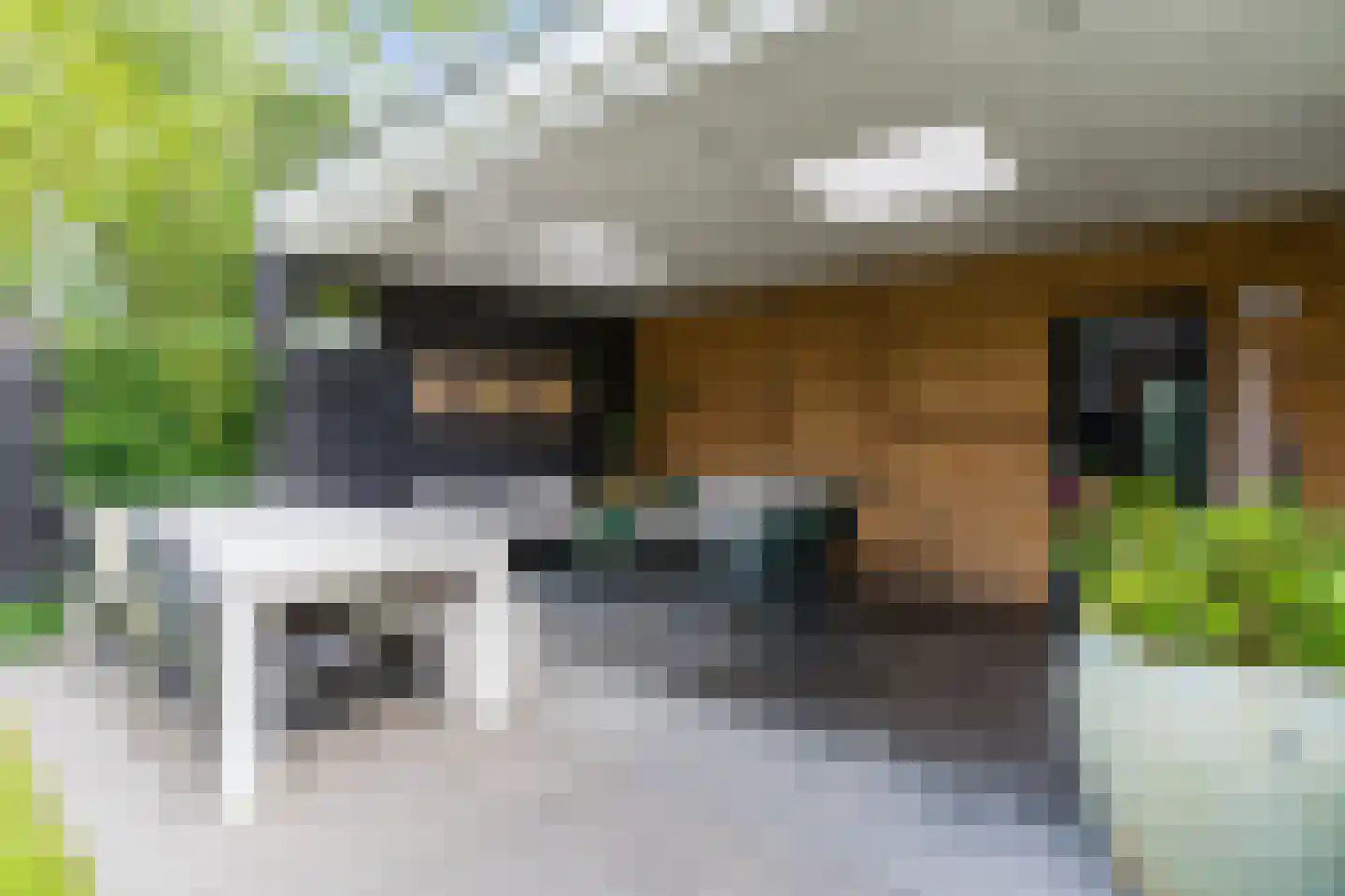 Lupine 1 Eersel thumbnail 51