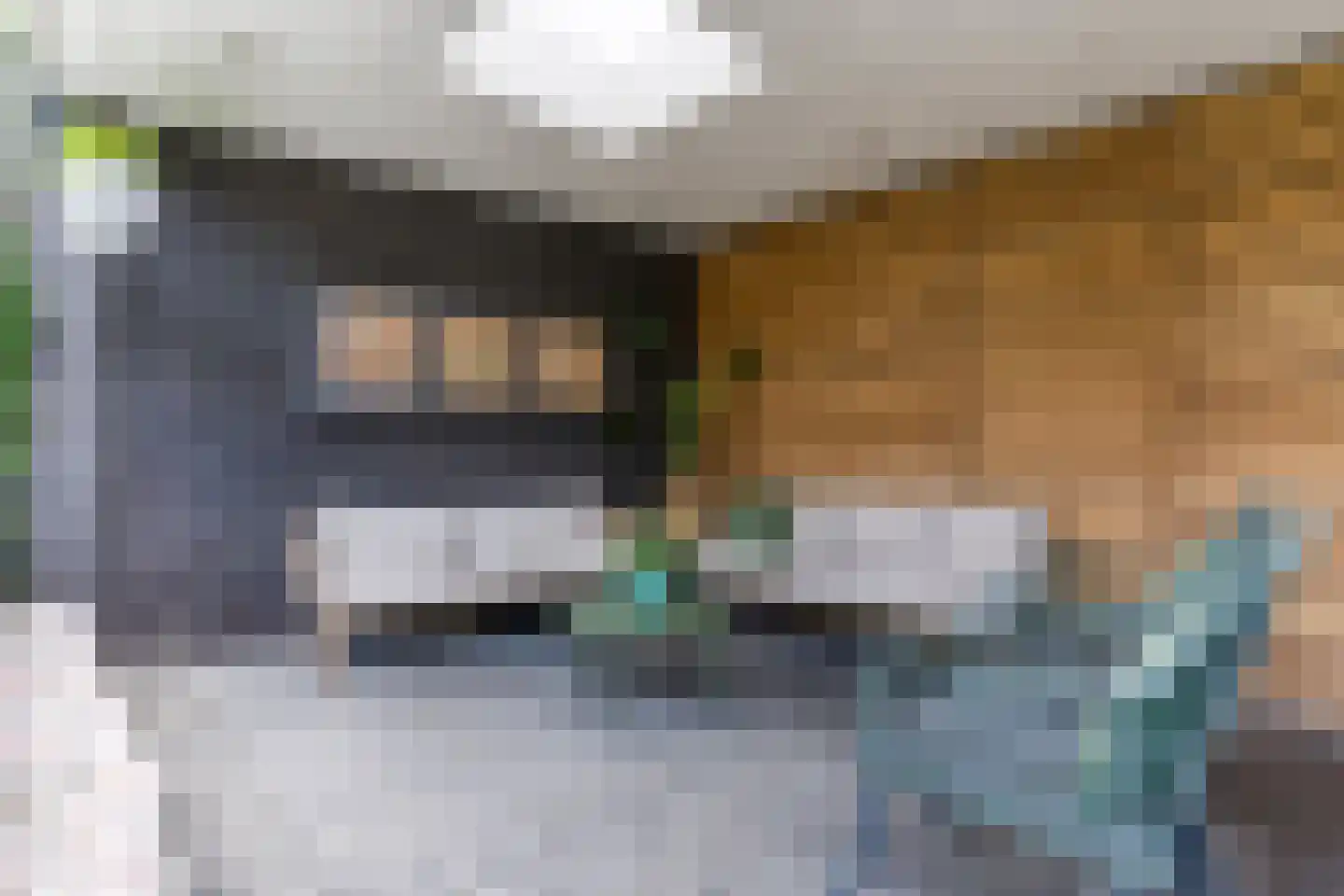 Lupine 1 Eersel thumbnail 52