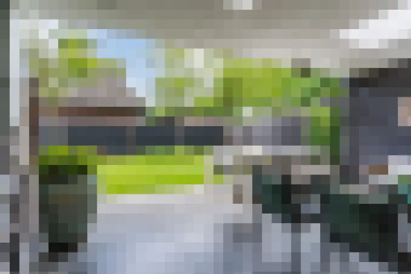 Lupine 1 Eersel thumbnail 53