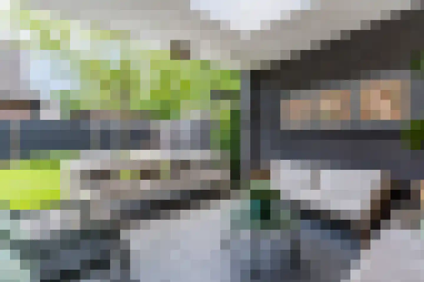 Lupine 1 Eersel thumbnail 54