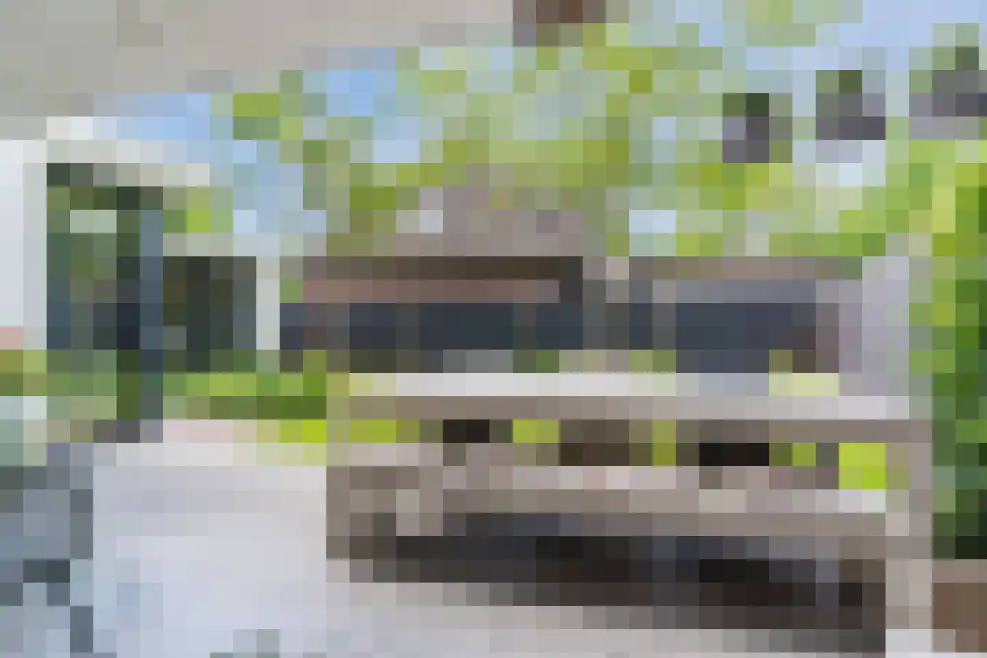 Lupine 1 Eersel thumbnail 55