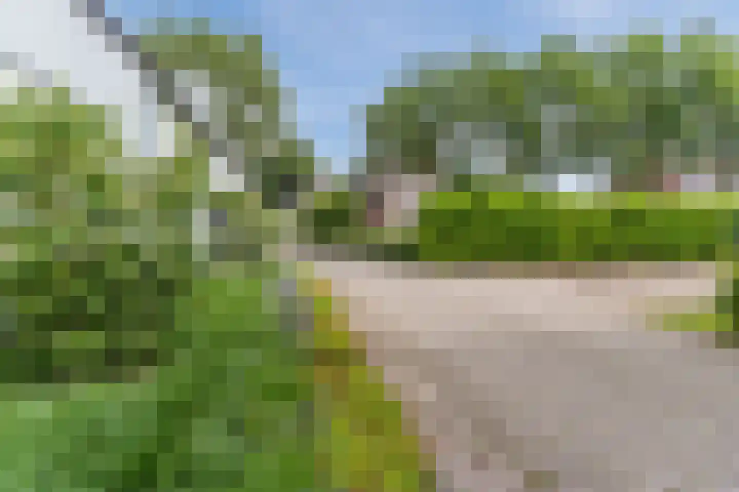 Lupine 1 Eersel thumbnail 63