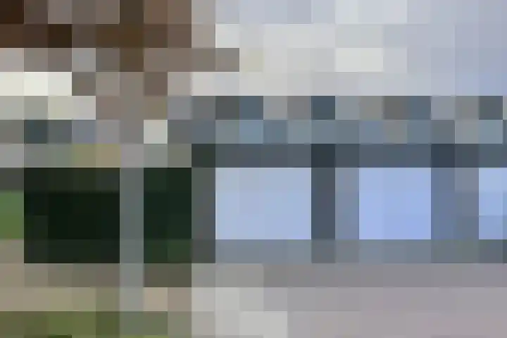 Lupine 11 Krimpen aan den IJssel thumbnail 22