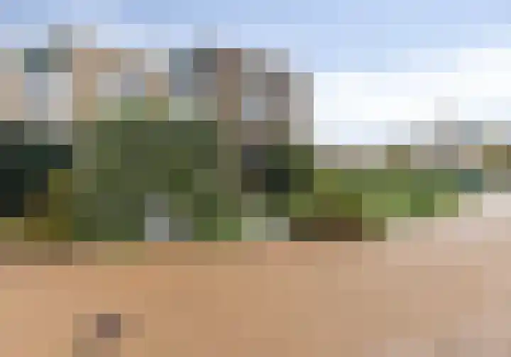 Lupine 11 Krimpen aan den IJssel thumbnail 26