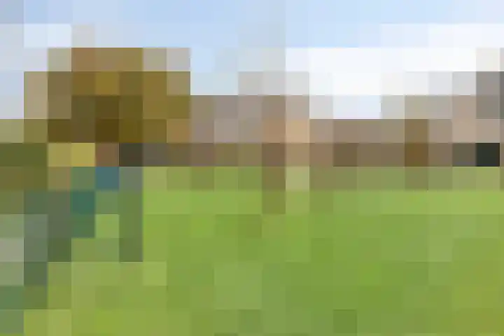 Lupine 11 Krimpen aan den IJssel thumbnail 27