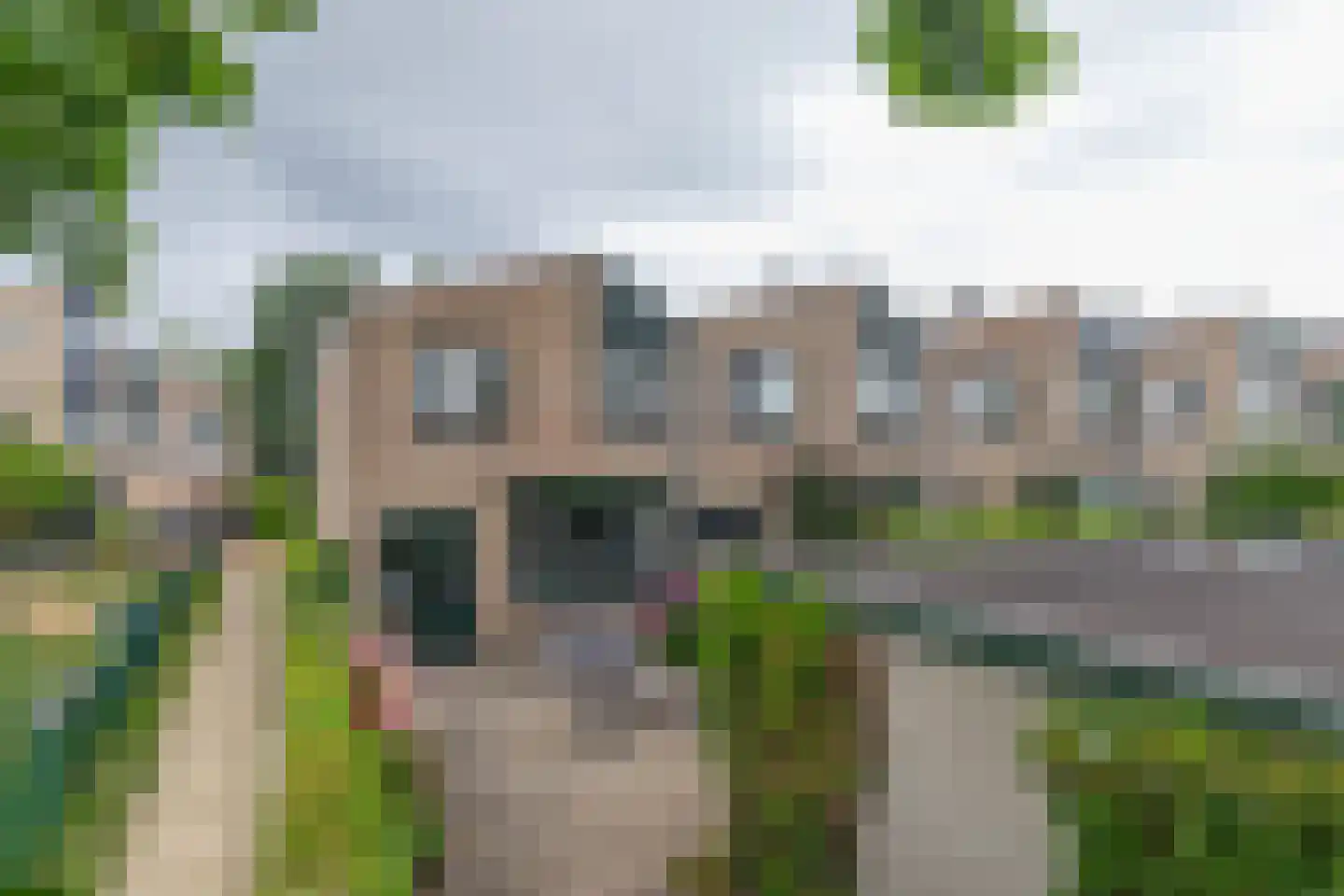 Lupine 11 Krimpen aan den IJssel thumbnail 34
