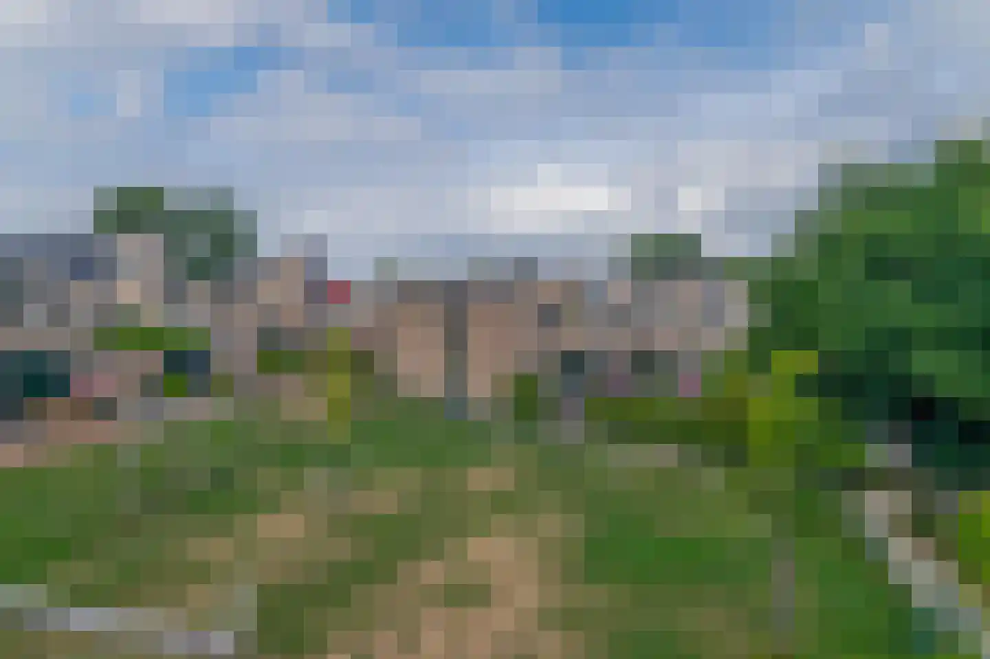 Lupine 11 Krimpen aan den IJssel thumbnail 38