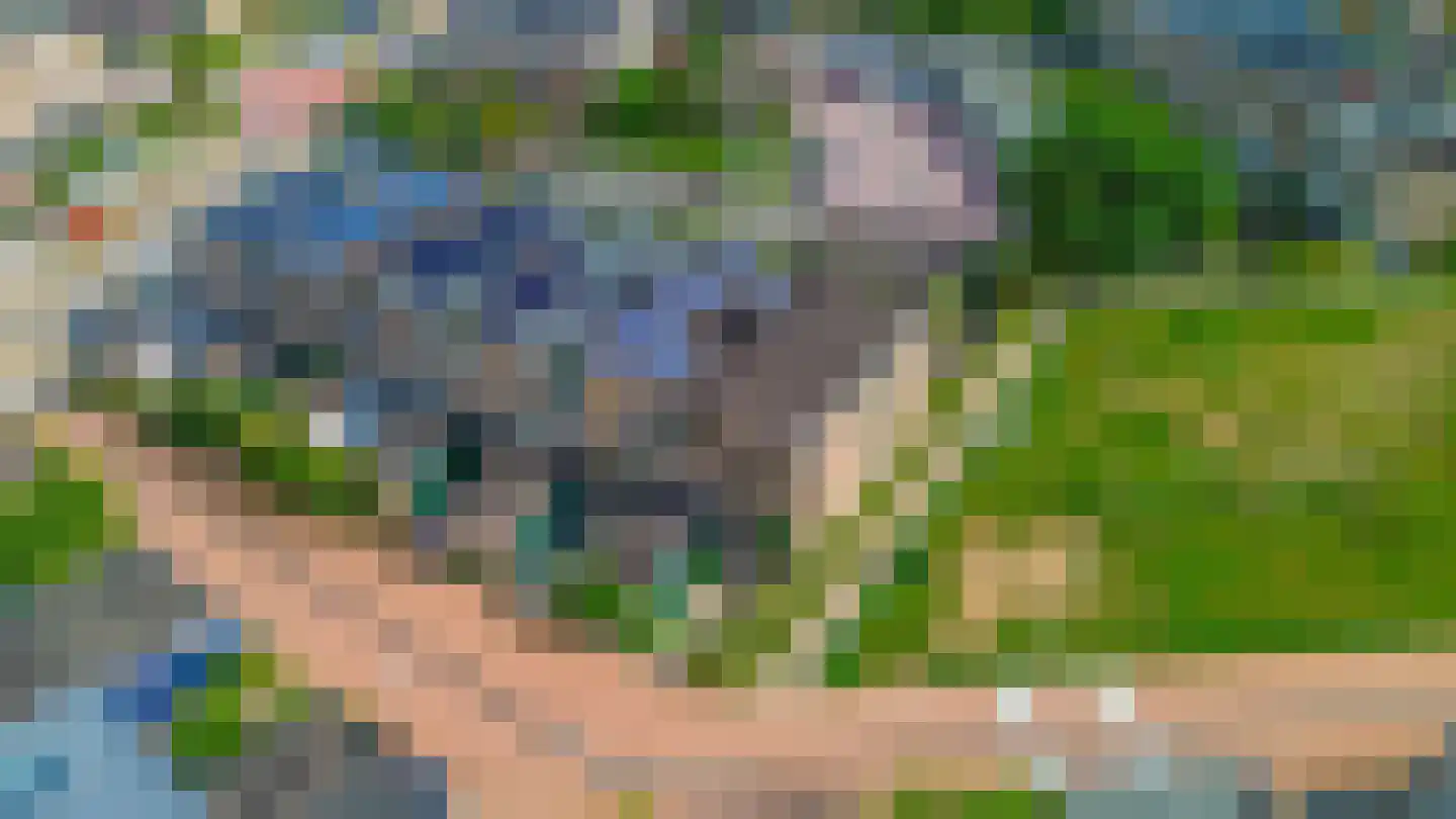 Lupine 11 Krimpen aan den IJssel thumbnail 42