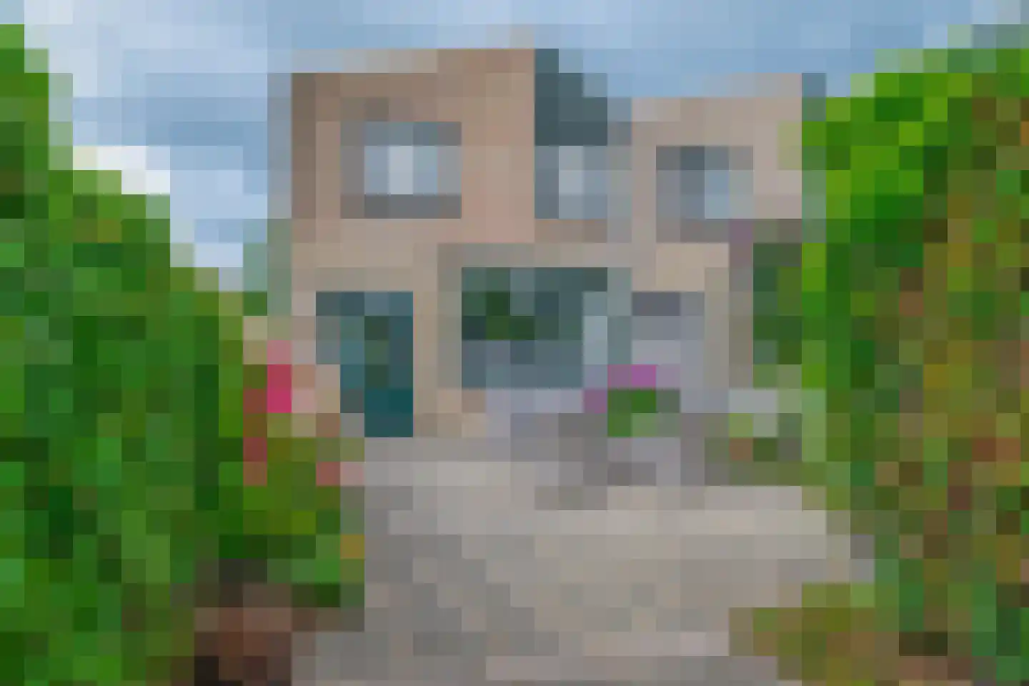 Lupine 11 Krimpen aan den IJssel thumbnail 5