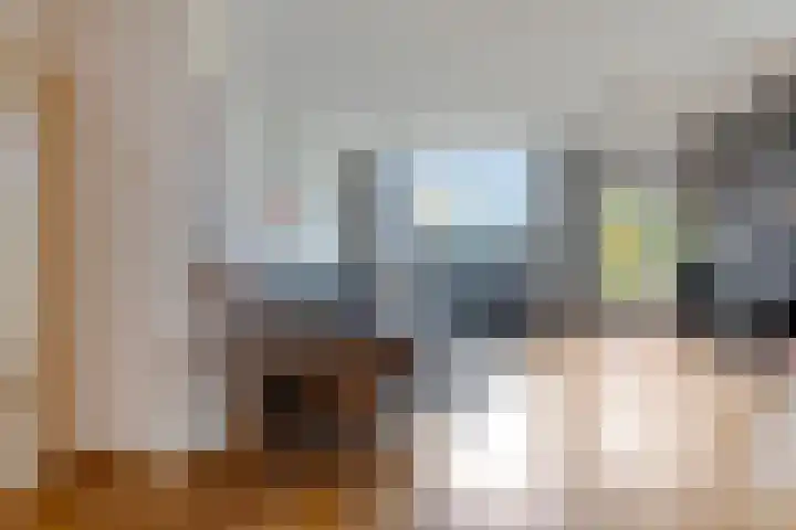 Lupine 11 Krimpen aan den IJssel thumbnail 6