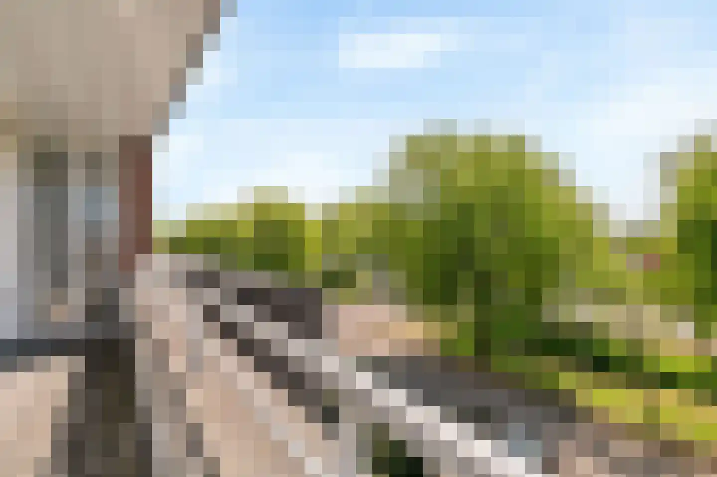 Lupine 11 Noordwijkerhout thumbnail 34