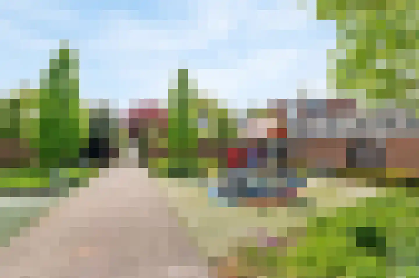 Lupine 11 Noordwijkerhout thumbnail 38