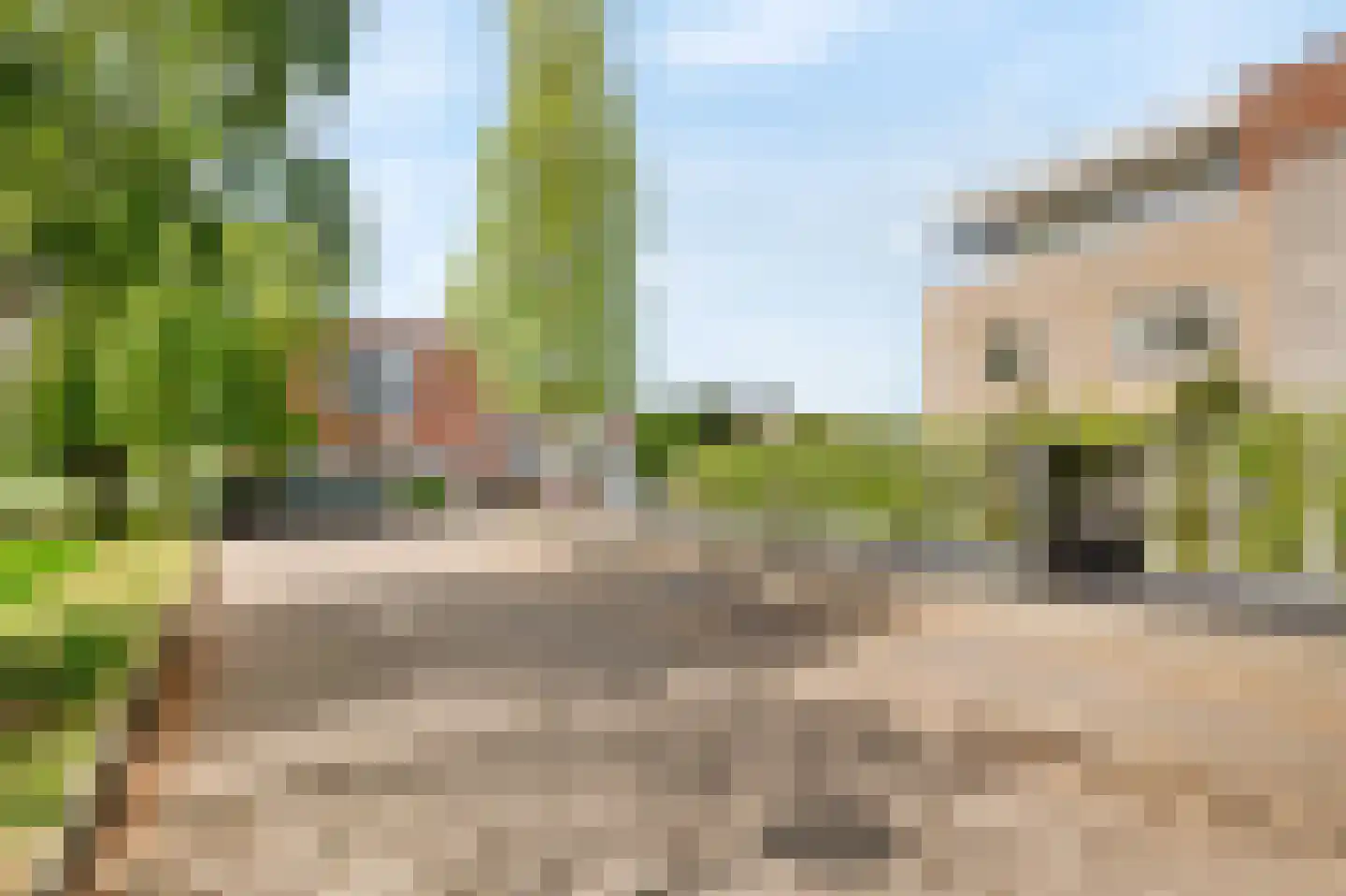 Lupine 11 Noordwijkerhout thumbnail 39