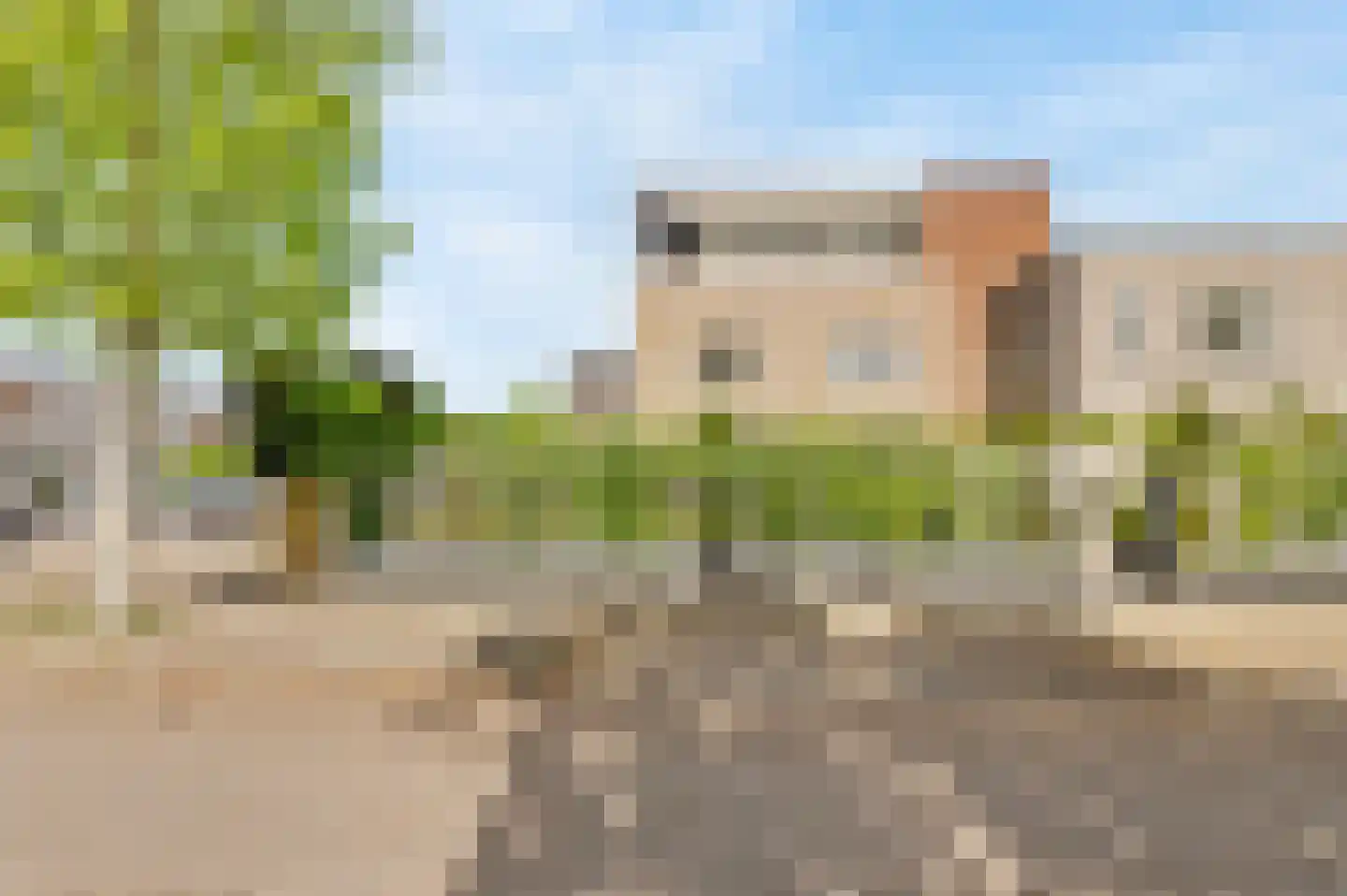 Lupine 11 Noordwijkerhout thumbnail 4