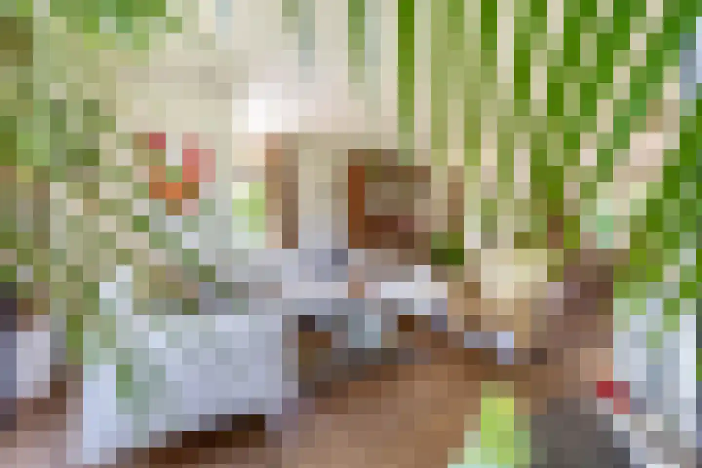 Lupine 13 Eersel thumbnail 16