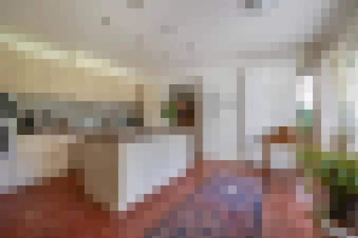 Lupine 13 Eersel thumbnail 21