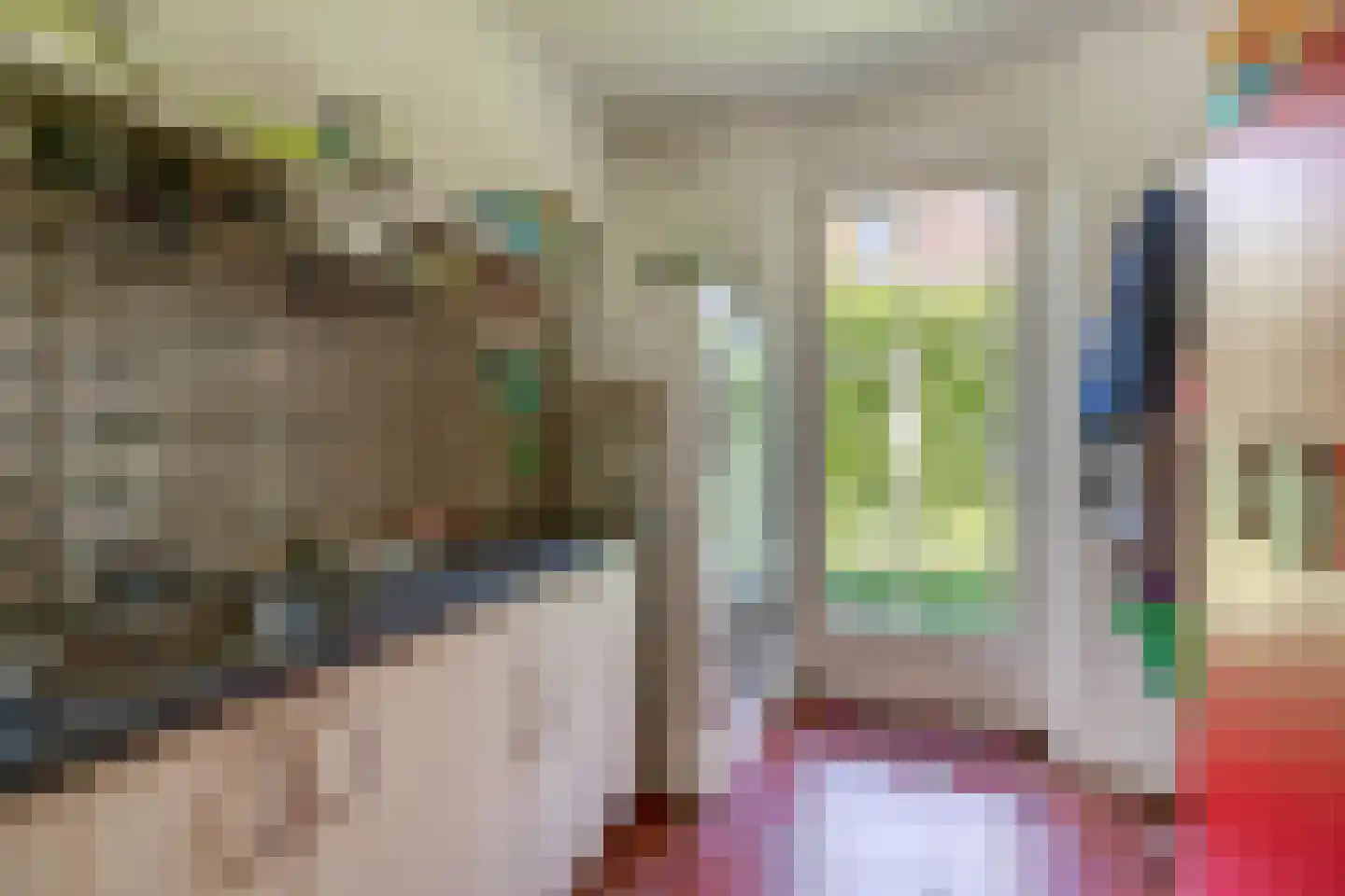 Lupine 13 Eersel thumbnail 25