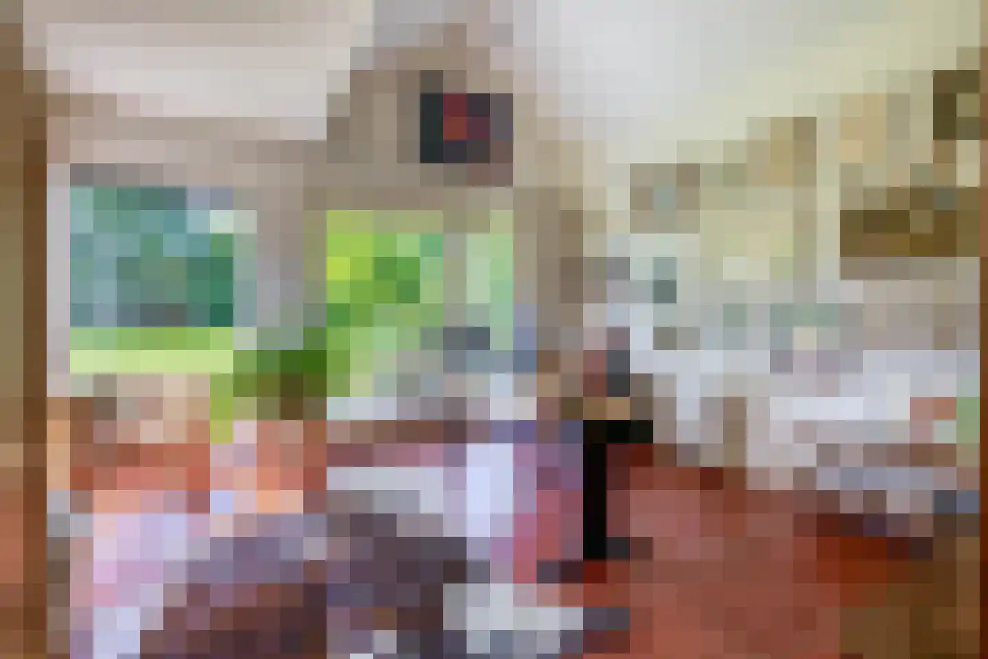 Lupine 13 Eersel thumbnail 26