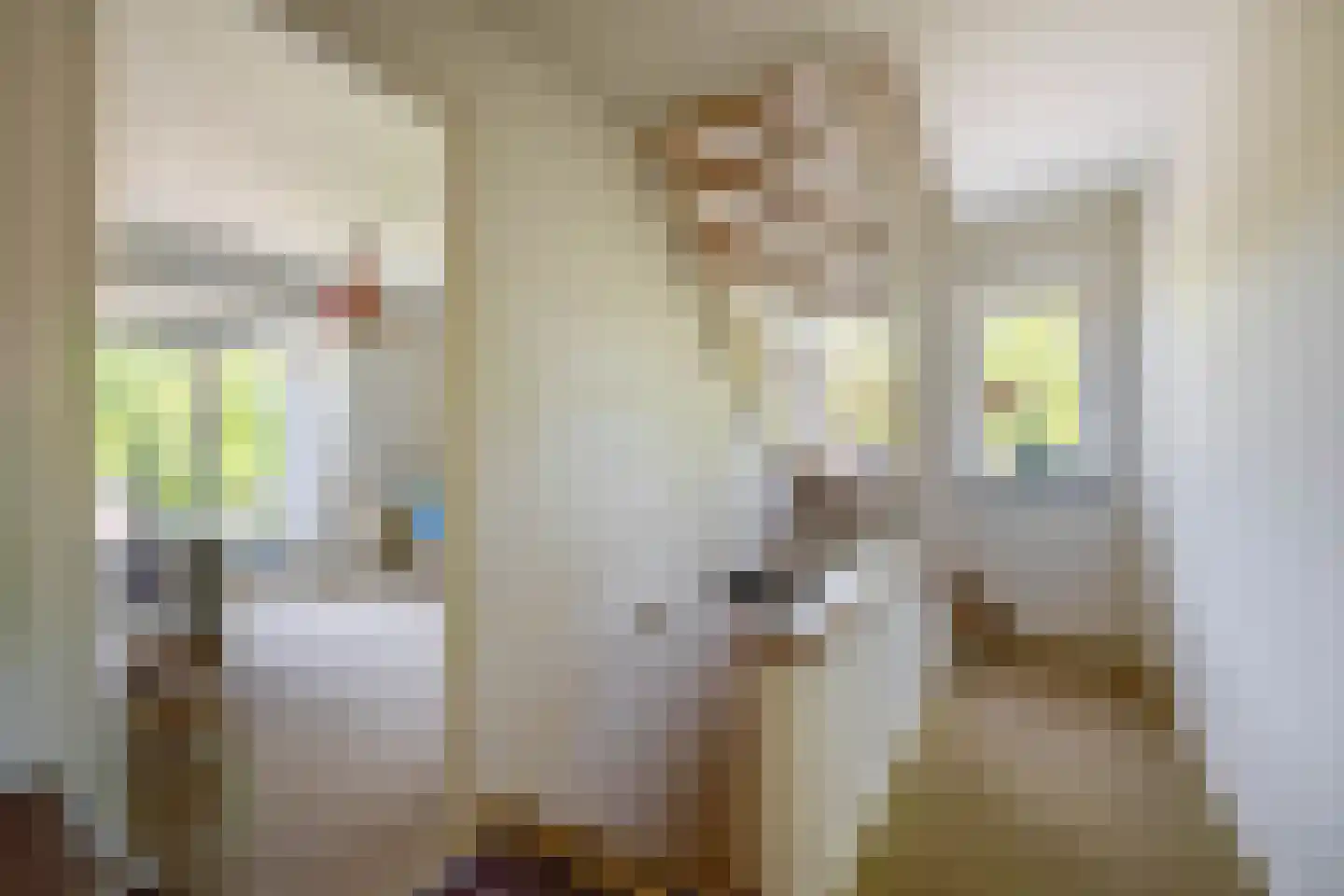 Lupine 13 Eersel thumbnail 29