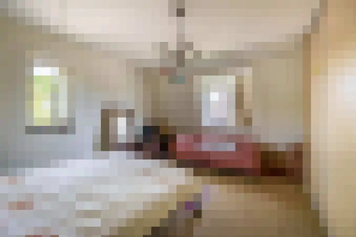 Lupine 13 Eersel thumbnail 32