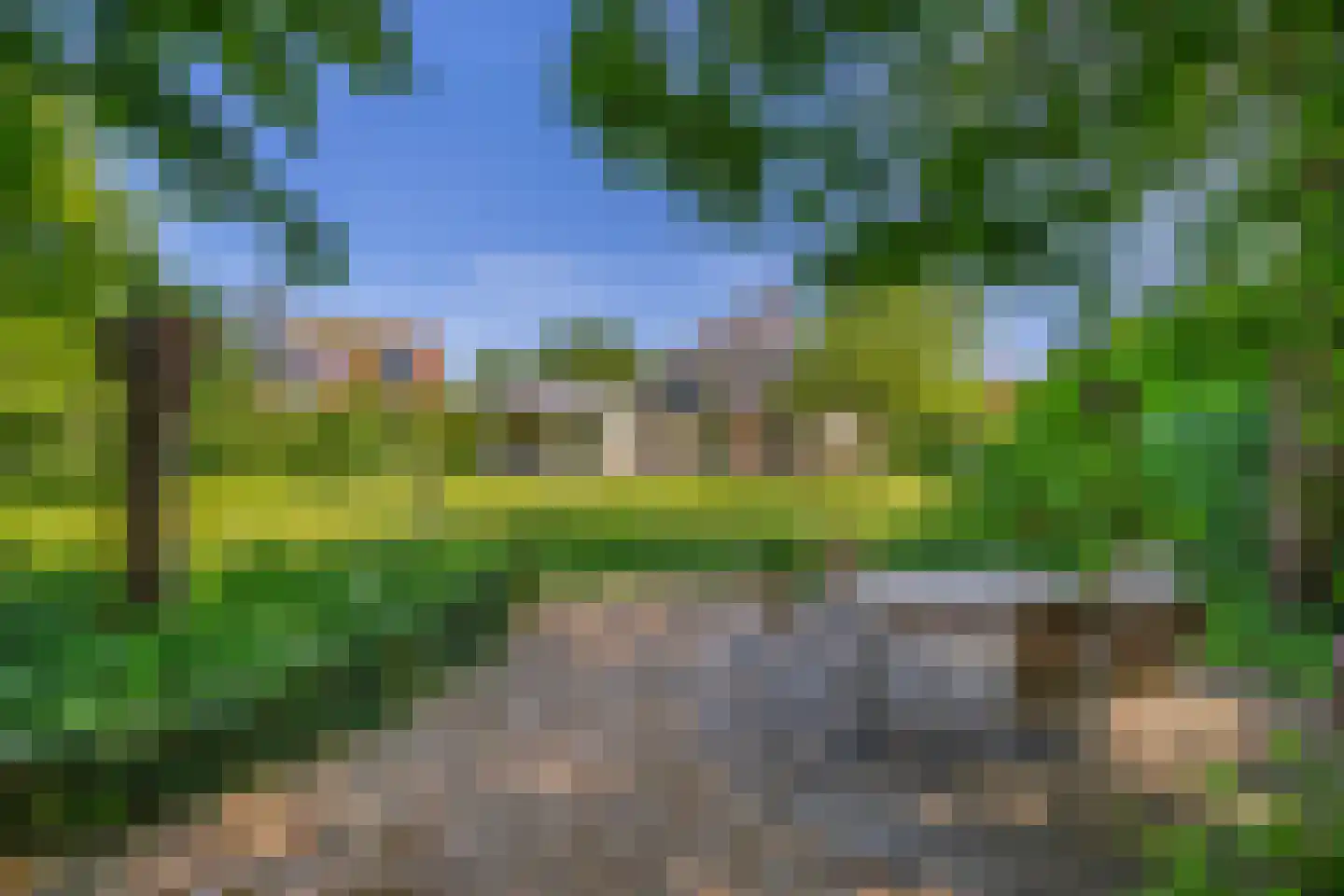 Lupine 13 Eersel thumbnail 4