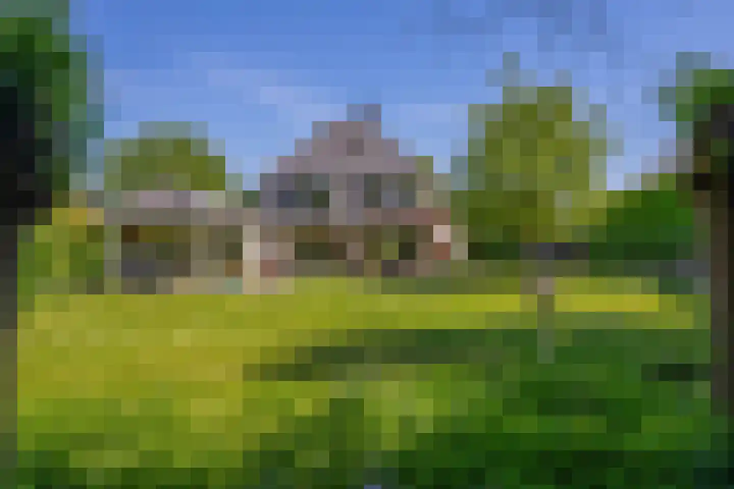 Lupine 13 Eersel thumbnail 45