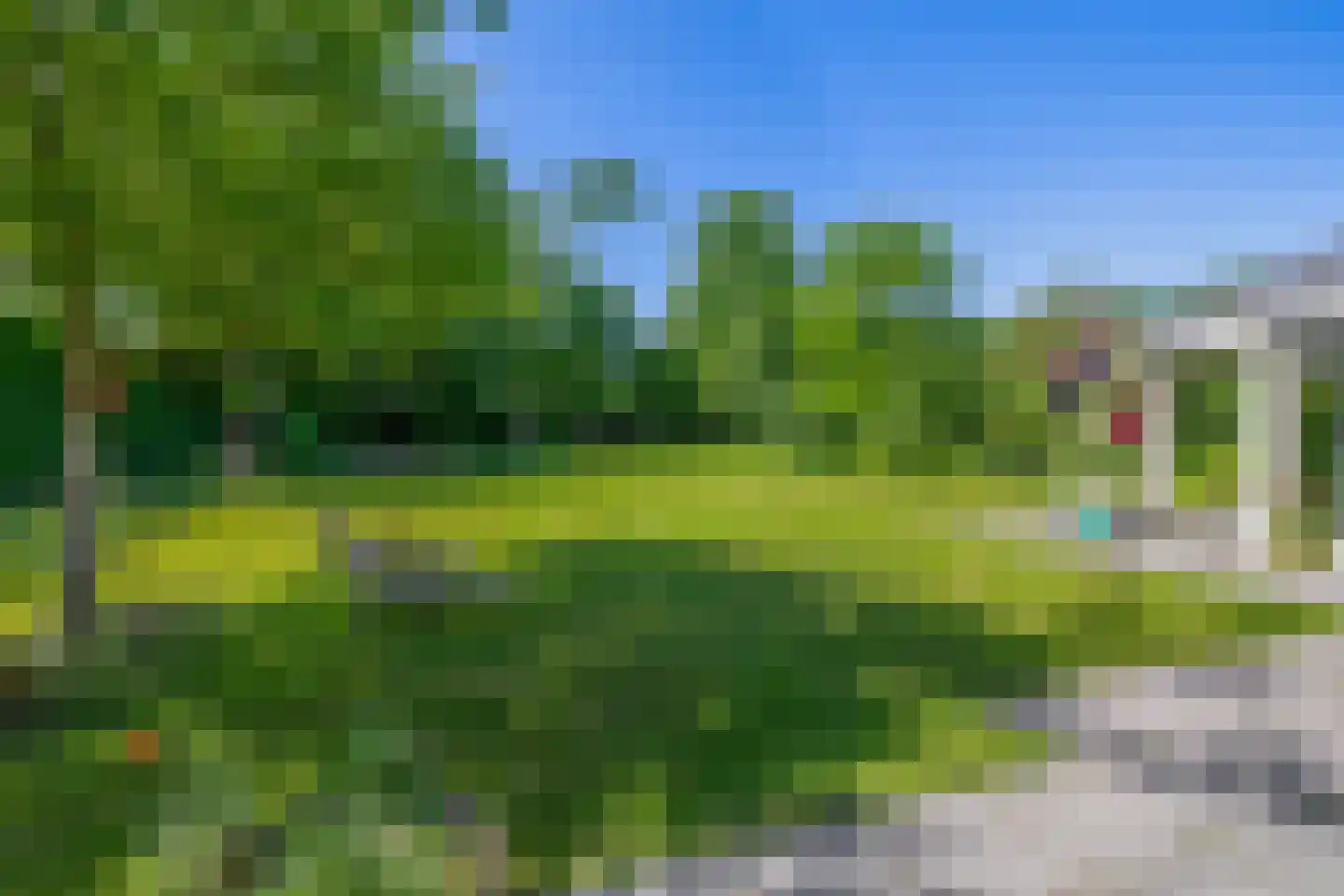 Lupine 13 Eersel thumbnail 50