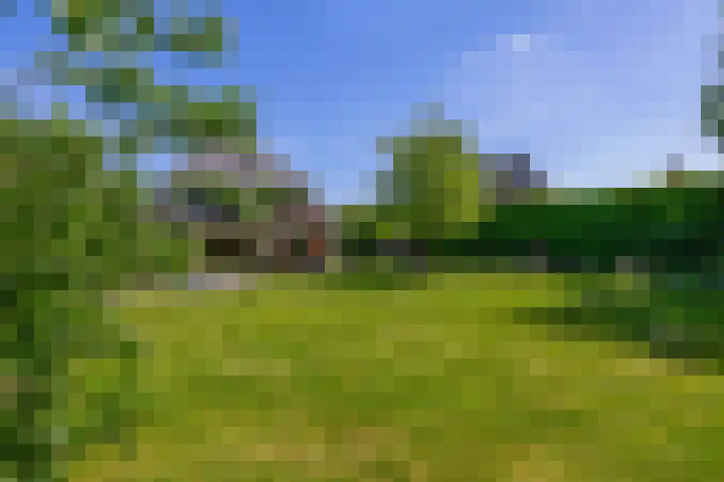 Lupine 13 Eersel thumbnail 51