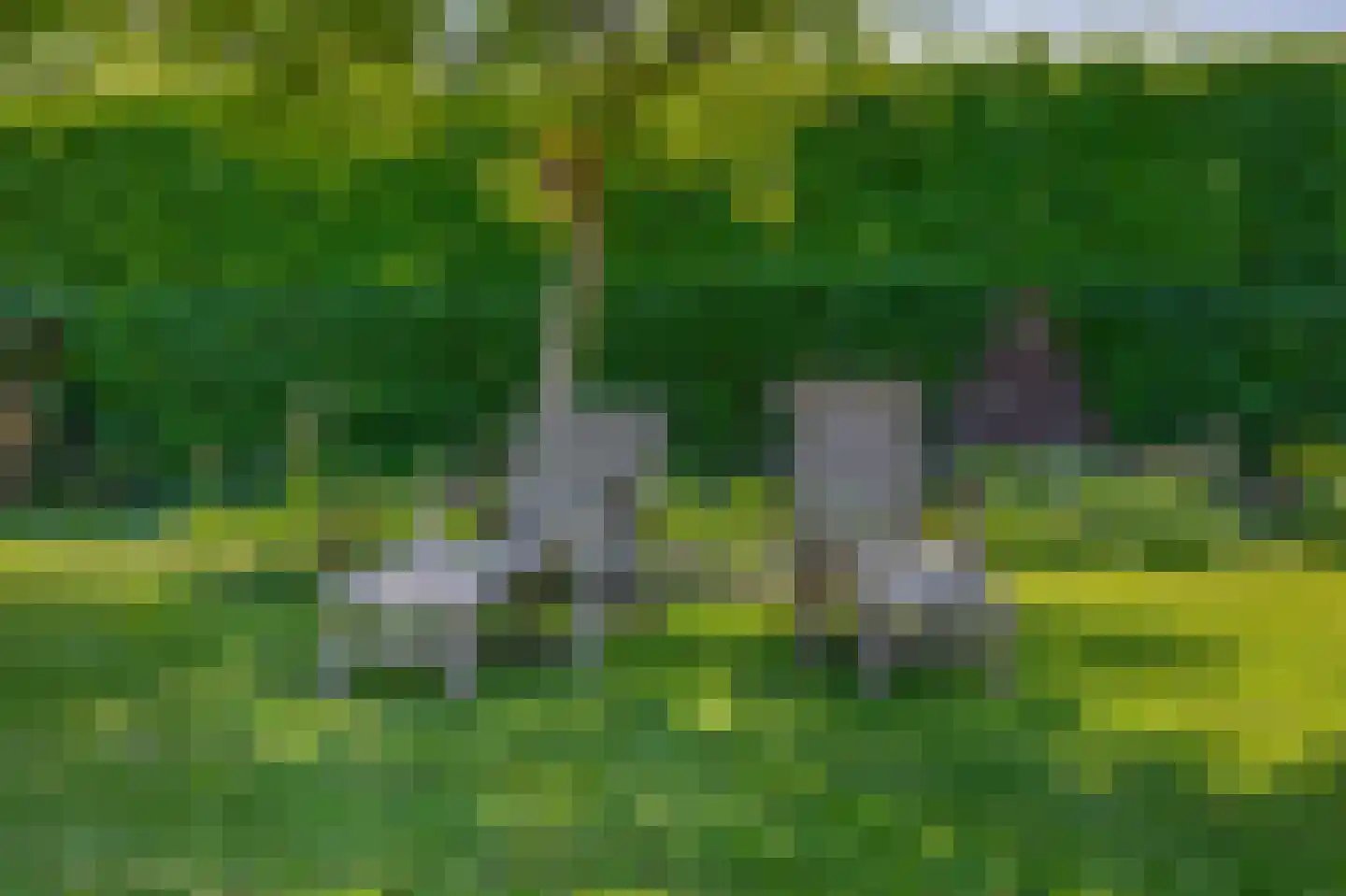 Lupine 13 Eersel thumbnail 59