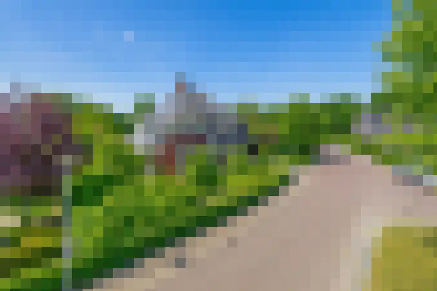 Lupine 13 Eersel thumbnail 63