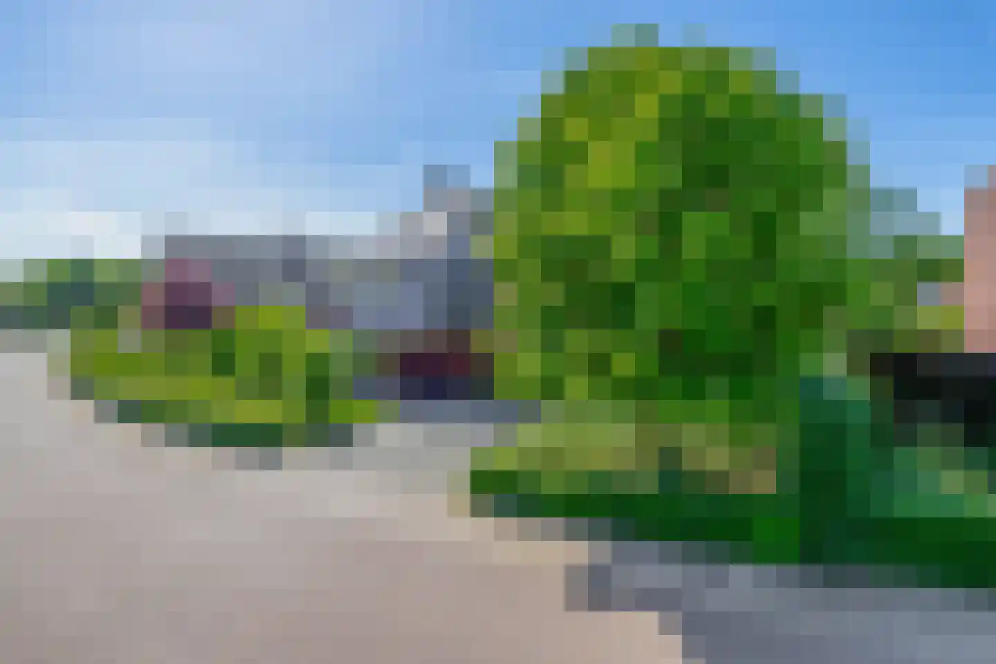 Lupine 13 Eersel thumbnail 65