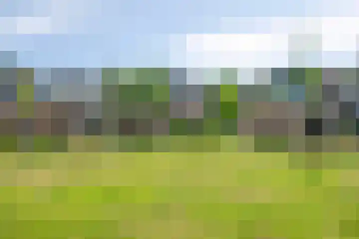 Lupine 30 Krimpen aan den IJssel thumbnail 23
