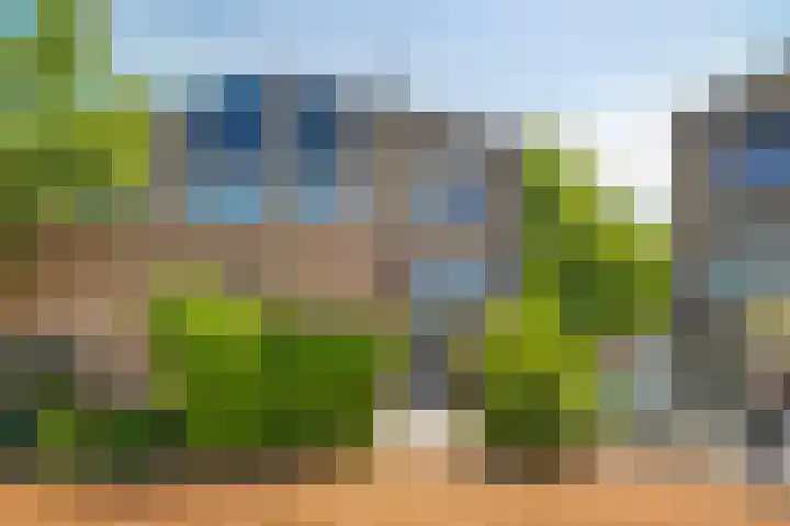 Lupine 30 Krimpen aan den IJssel thumbnail 25
