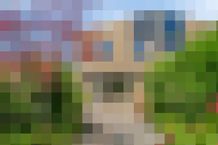 Lupine 30 Krimpen aan den IJssel thumbnail 30