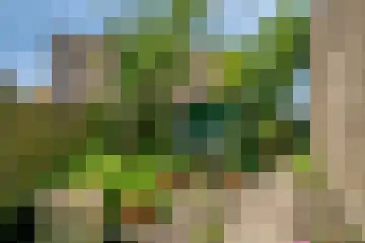 Lupine 30 Krimpen aan den IJssel thumbnail 32