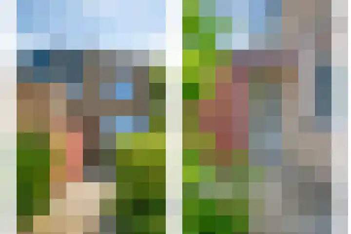 Lupine 30 Krimpen aan den IJssel thumbnail 35