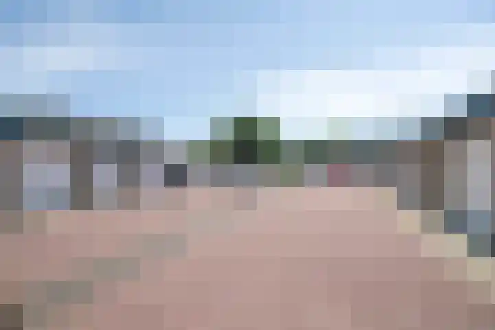 Lupine 30 Krimpen aan den IJssel thumbnail 37