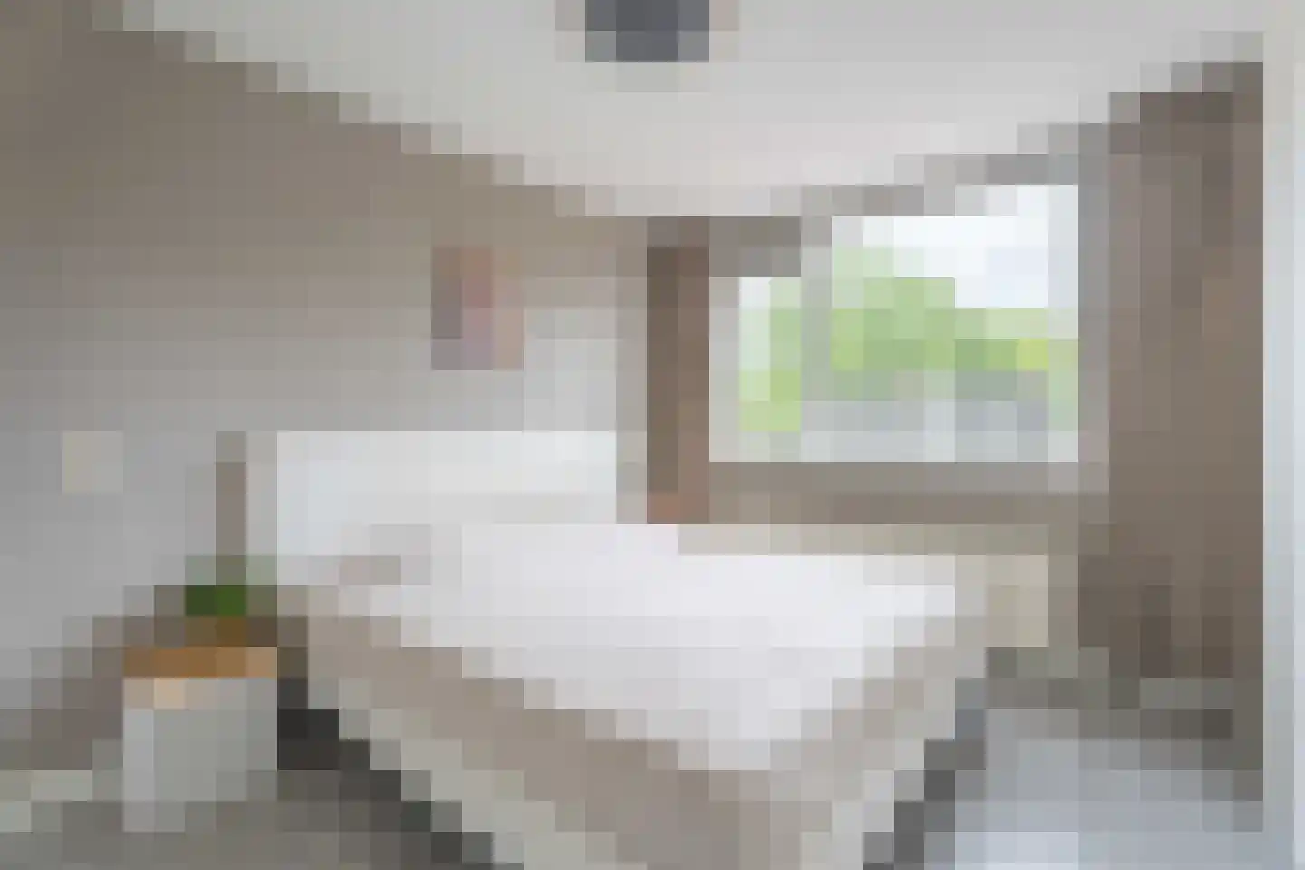Lupine 42 Rijnsburg thumbnail 13