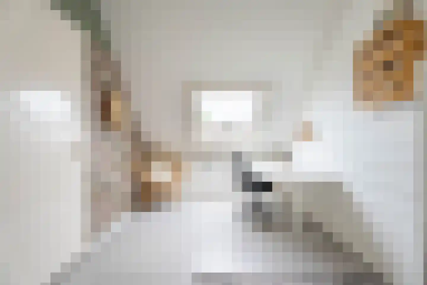 Lupine 42 Rijnsburg thumbnail 26