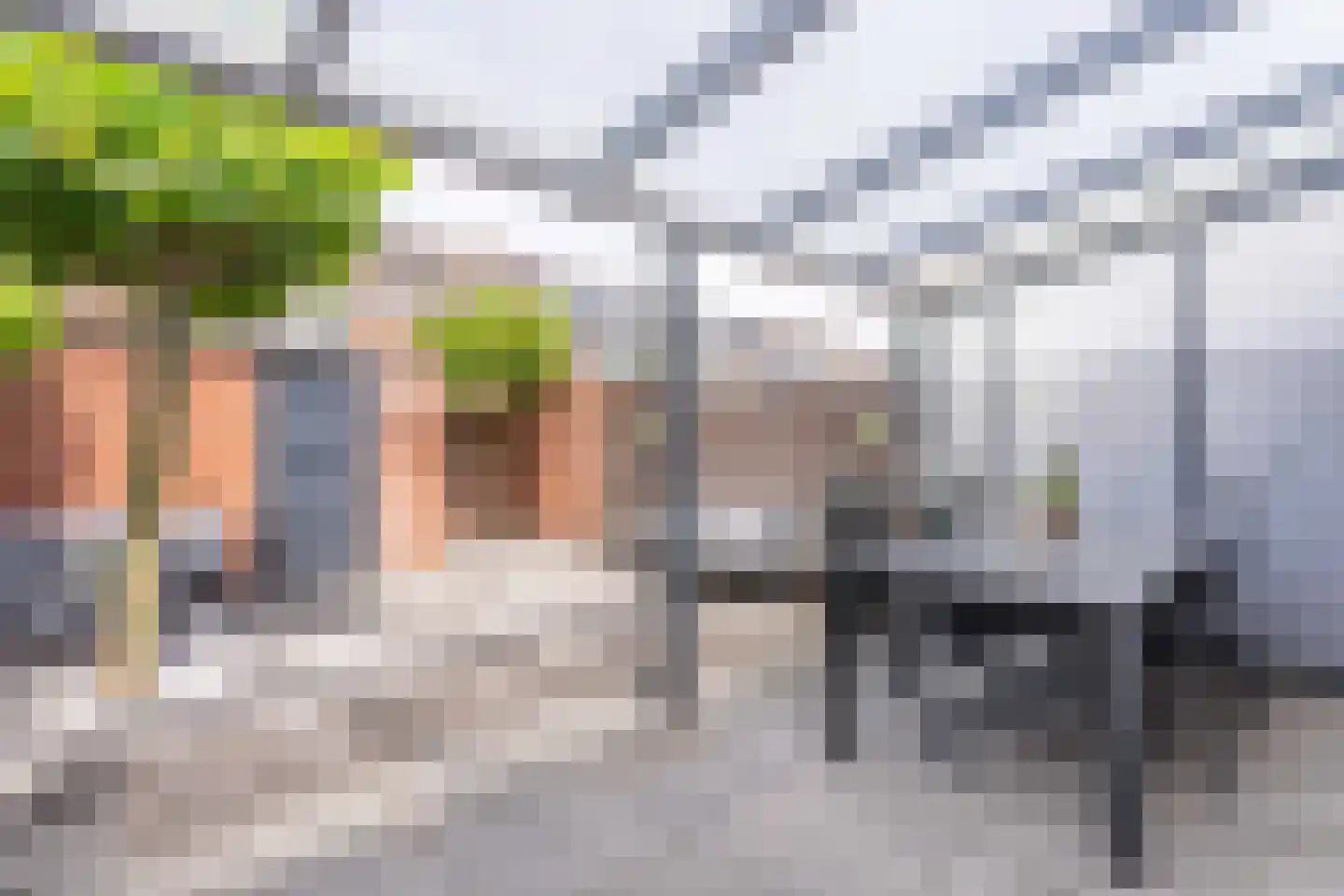 Lupine 42 Rijnsburg thumbnail 30