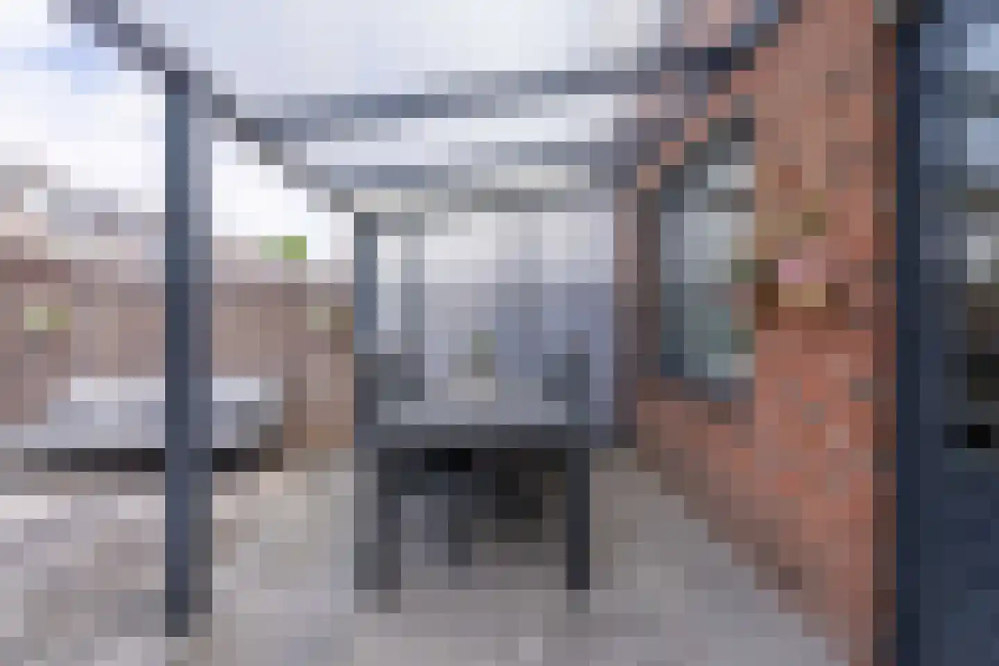 Lupine 42 Rijnsburg thumbnail 31