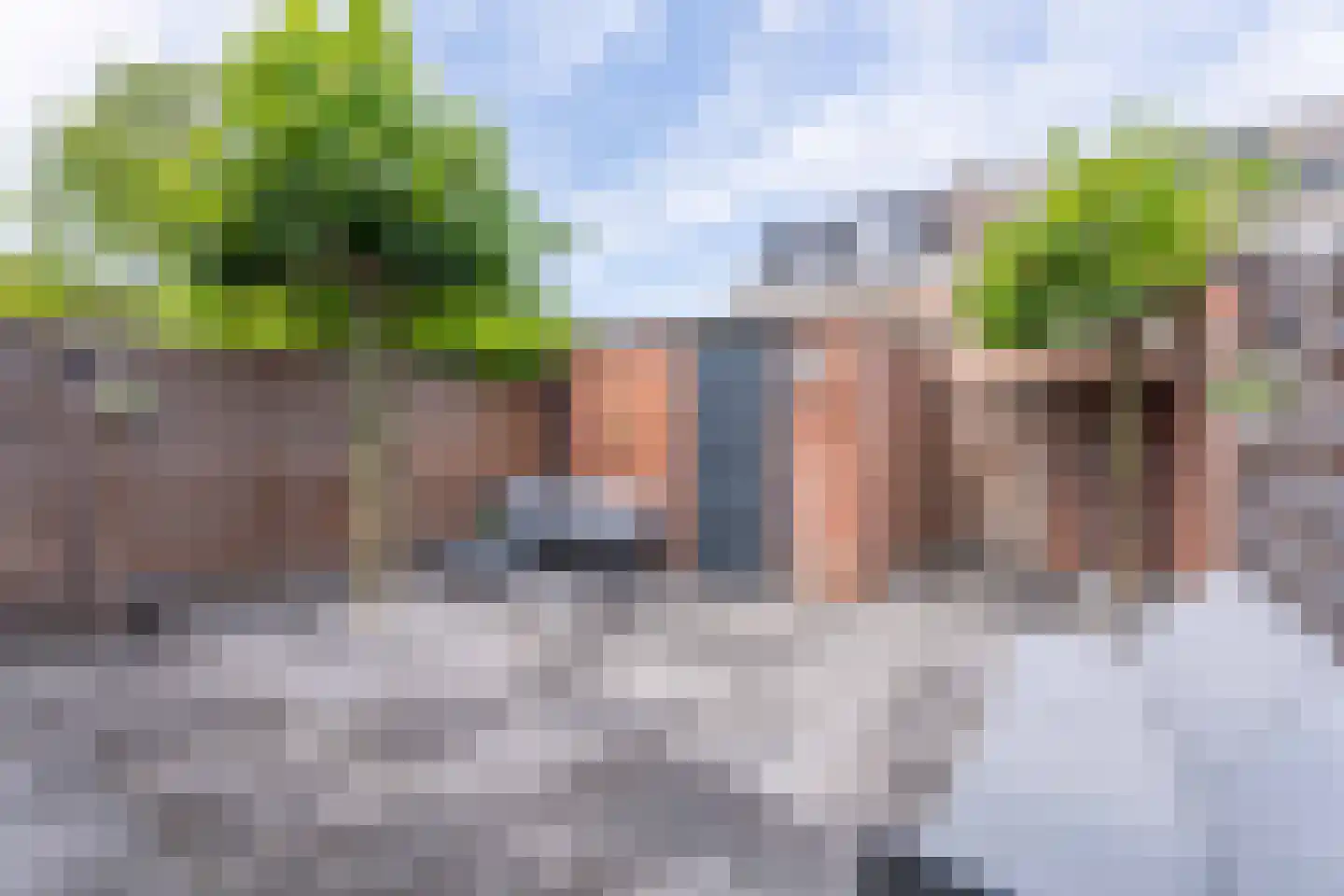 Lupine 42 Rijnsburg thumbnail 32