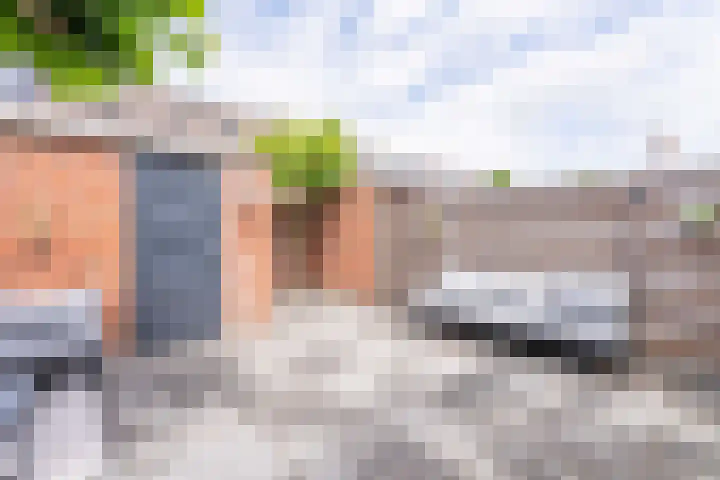 Lupine 42 Rijnsburg thumbnail 33