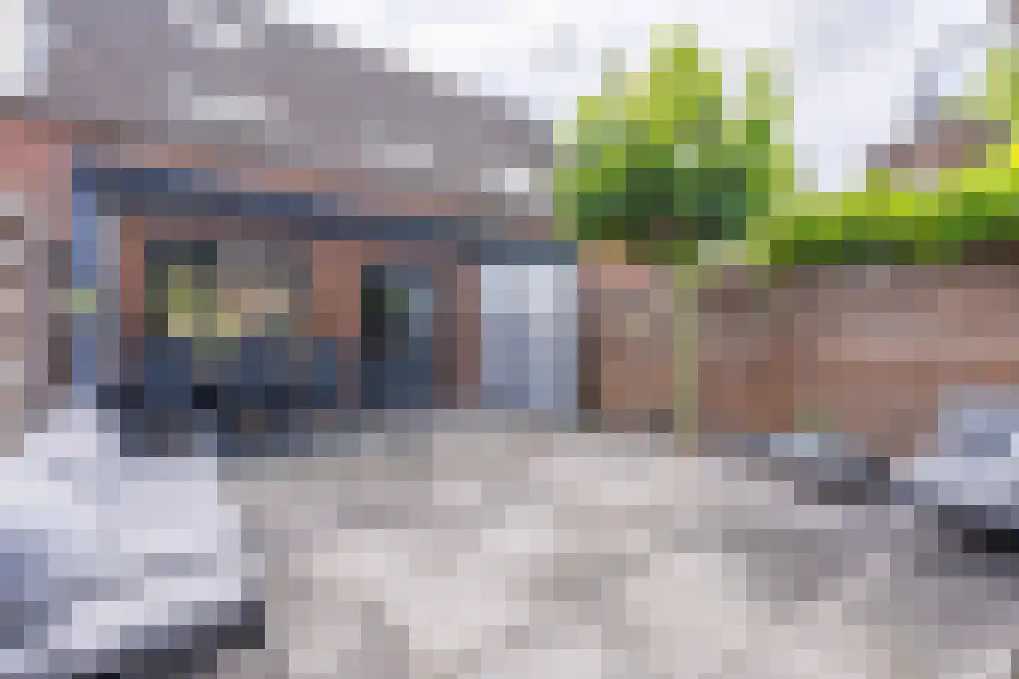 Lupine 42 Rijnsburg thumbnail 34