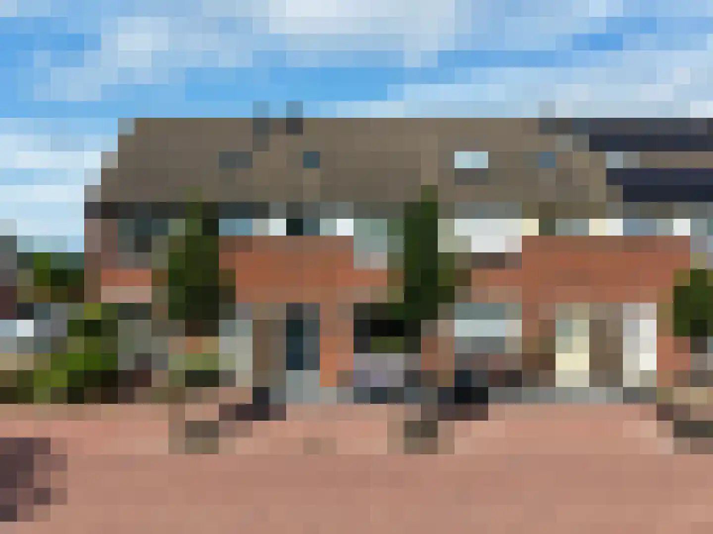 Lupine 42 Rijnsburg thumbnail 40