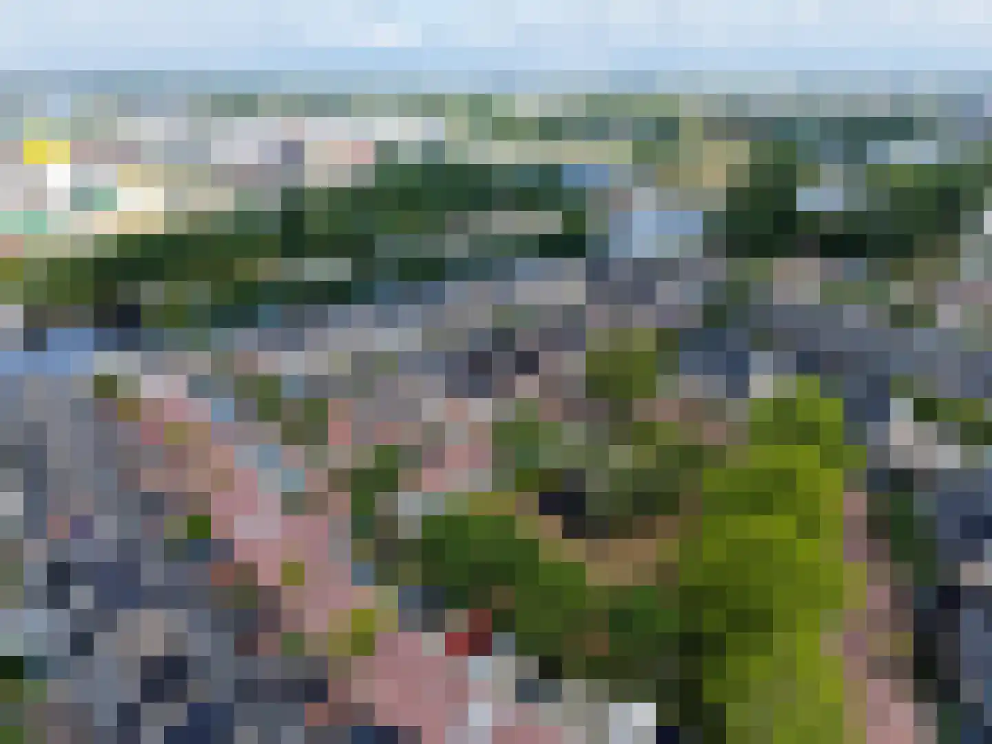 Lupine 42 Rijnsburg thumbnail 41