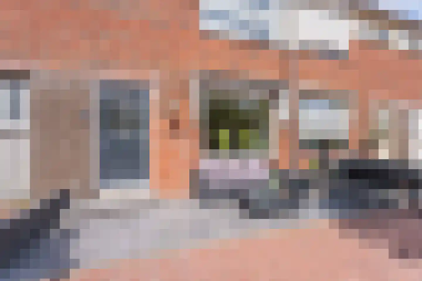 Lupine 42 Rijnsburg thumbnail 42