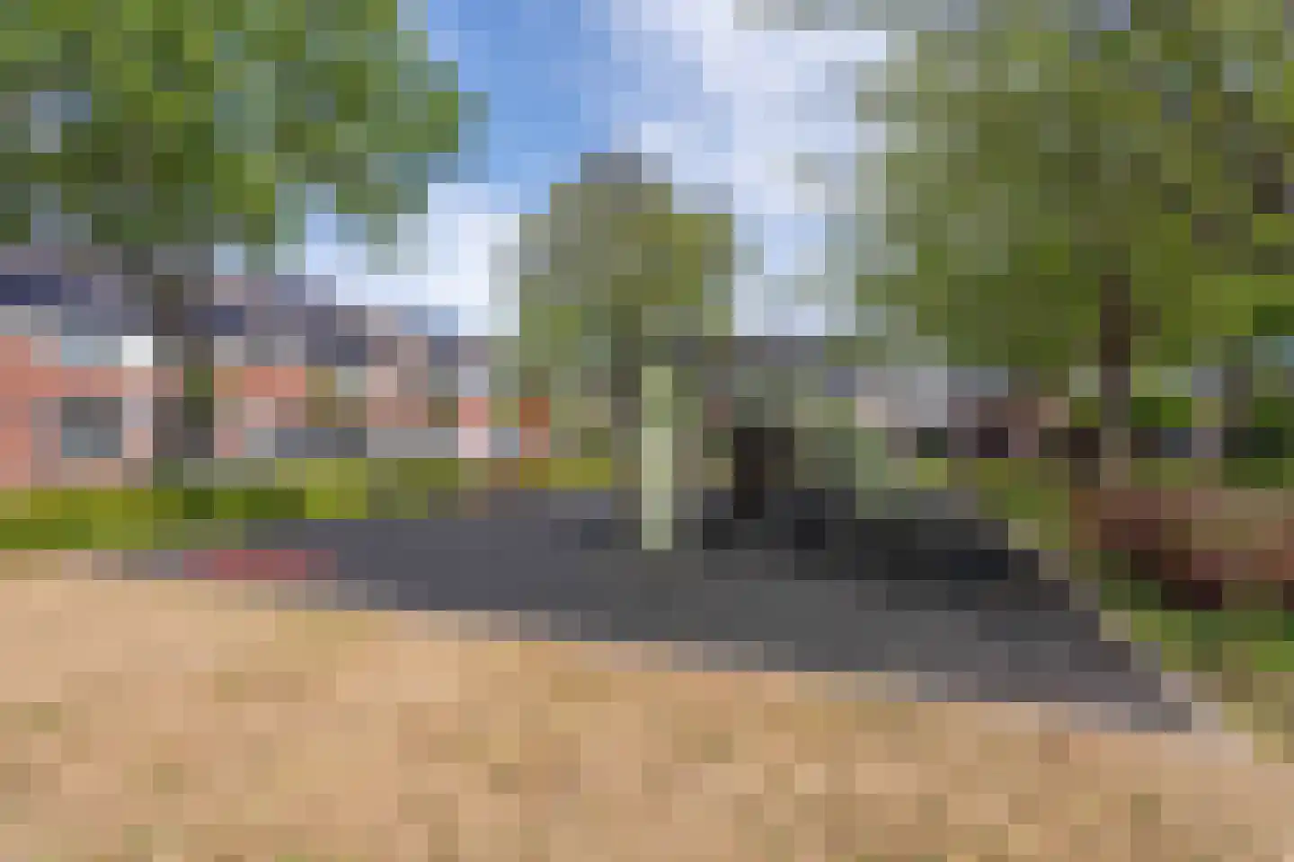 Lupine 42 Rijnsburg thumbnail 43